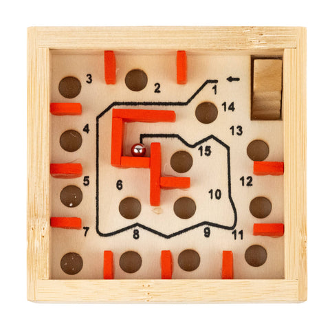 Project Genius - The Great Coral Maze