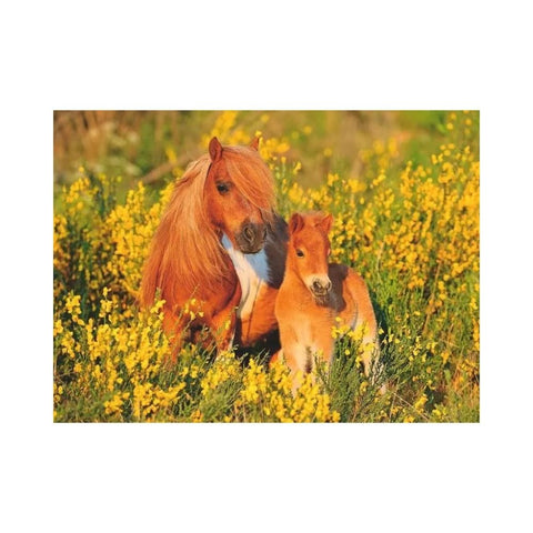 Ravensburger - Shetland Ponies 100pc XXL puzzle