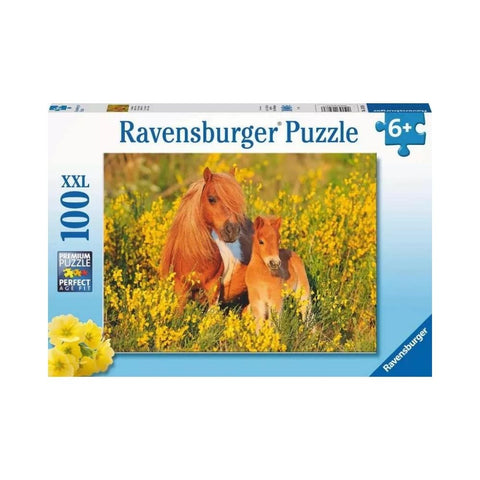 Ravensburger - Shetland Ponies 100pc XXL puzzle