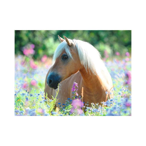 Ravensburger - Wildflower Pony 300pc XXL Puzzle