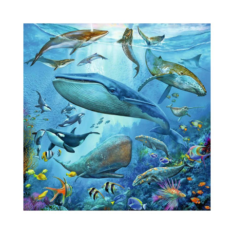 Ravensburger 3 x 49pc Puzzle Ocean Life