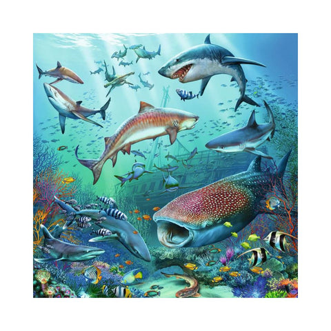 Ravensburger 3 x 49pc Puzzle Ocean Life