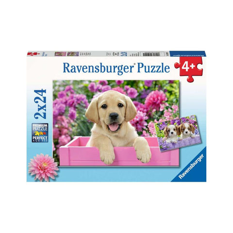 Ravensburger