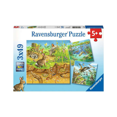 Ravensburger