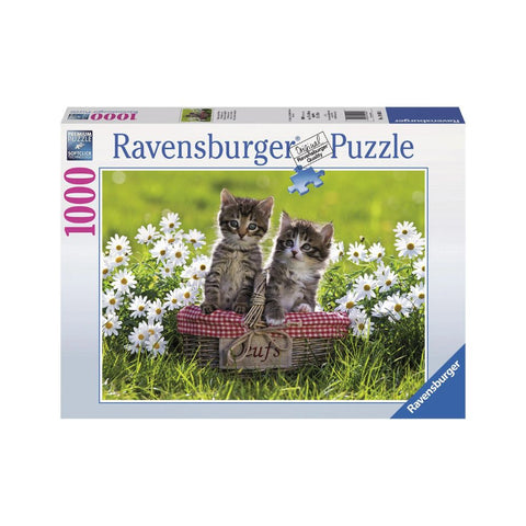 Ravensburger