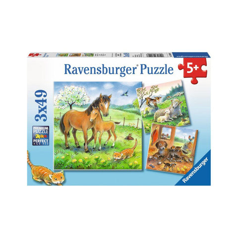 Ravensburger