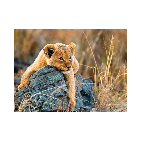 Ravensburger Little Lion Jigsaw Puzzle 200pc