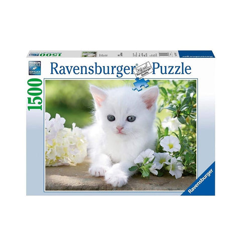 Ravensburger