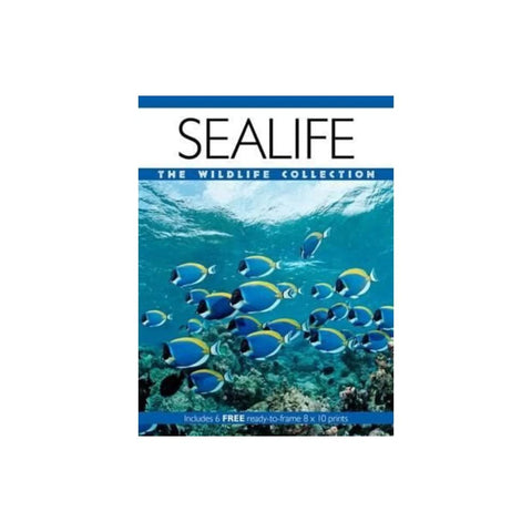 Sealife