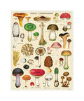 Cavallini & Co. - Mushrooms Vintage 1000pc Puzzle
