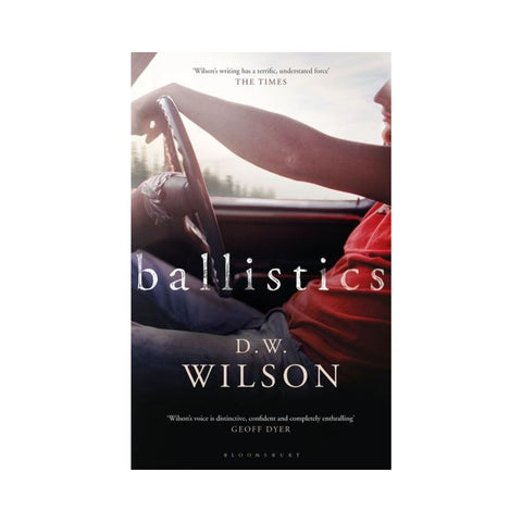 Ballistics by D W Wilson