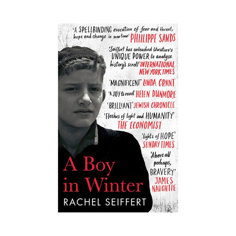 A Boy In Winter by Rachel Seiffert