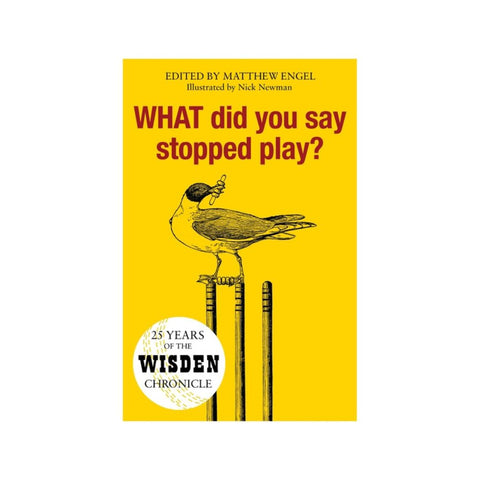 WHAT Did You Say Stopped Play? - By Wisden