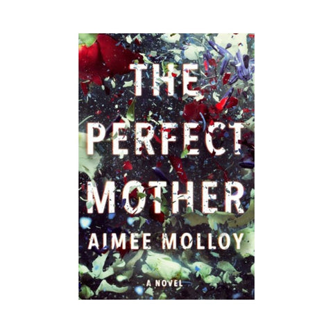 The Perfect Mother by Aimee Molloy