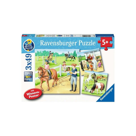 Ravensburger 3 x 49pc Puzzle