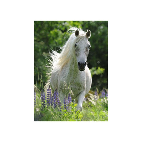 Ravensburger 100pc Puzzle Horse in Flowers