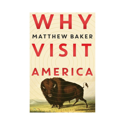 Why Visit America by Matthew Baker