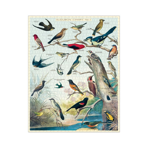 Cavallini 1000 Pc Puzzle – Audubon Birds