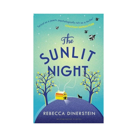 Sunlit Night by Rebecca Dinerstein