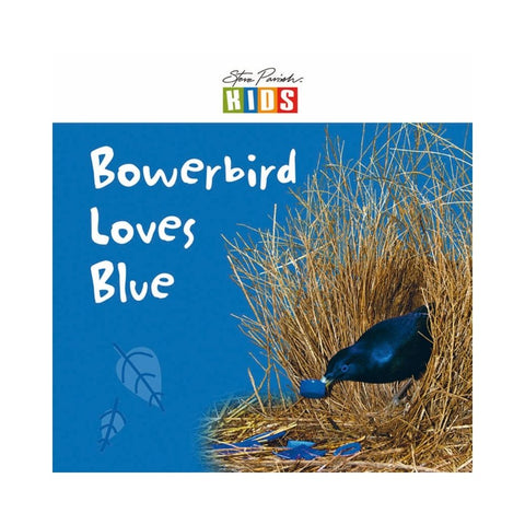 Bowerbird Loves Blue - Steve Parish