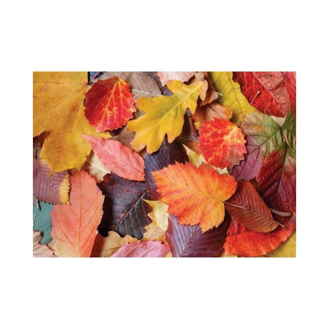 Magnolia Puzzles – Colourful Leaves by Lari Bat 1000pc Puzzle 1