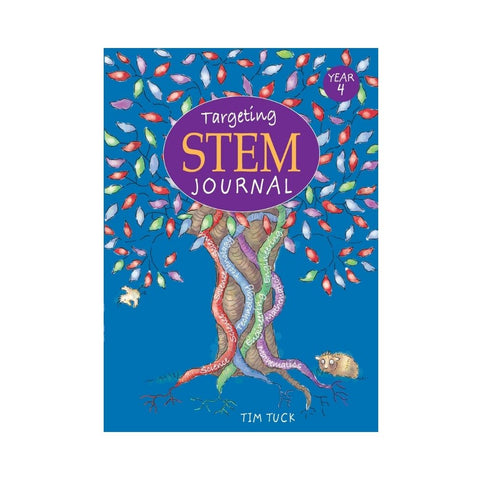 Targeting STEM Year 4