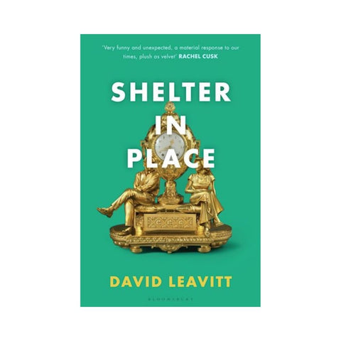 Shelter in Place By David Leavitt